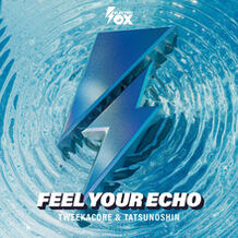 Feel Your Echo
