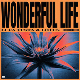 Wonderful Life